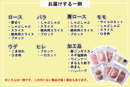 北海道産 健酵豚 お楽しみ 加工品 あり 福袋 7パック以上