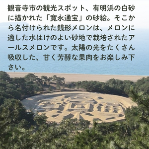 銭形メロン 2玉 化粧箱入り 約2.5kg　［アールスメロン］ 果物類 フルーツ 