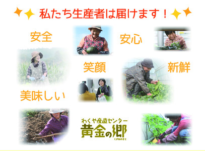 黄金の郷　季節のお野菜お楽しみBセット ◇｜ 野菜・セット・詰合せ・野菜・きのこ ※配送不可地域あり【aubless002】