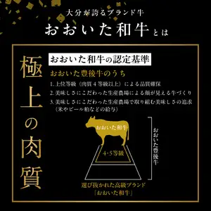 3Dフリーザーで急速冷凍。美味しさそのまま！　4つの味が楽しめる　おおいた和牛100%ハンバーグセット　4個約640ｇ A05051