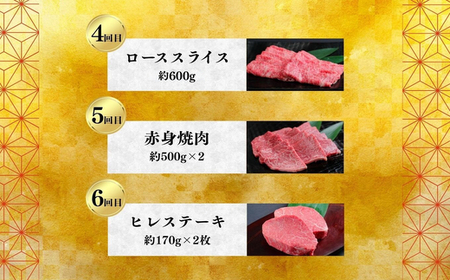 飛騨牛いろいろ定期便　毎月お届け全6回 Bセット サーロイン ｜飛飛騨牛