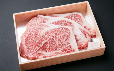 父の日 若狭牛サーロインステーキ 200g×3枚（A4ランク以上） 牛肉
