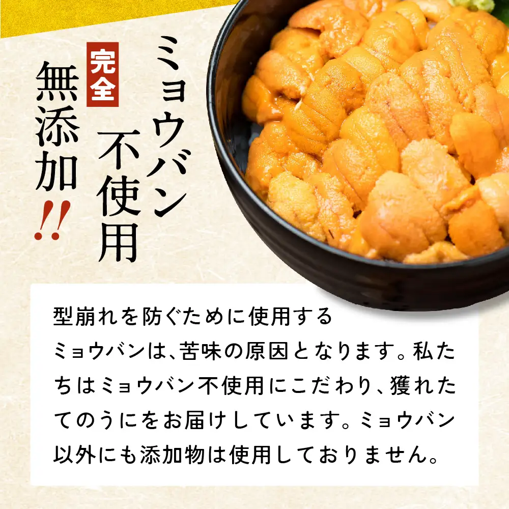 生うに 2026年発送先行予約 無添加 生うに 250g 塩水パック