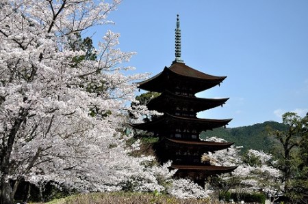 A055 山口オーダーメイド旅行プラン（30000円分）