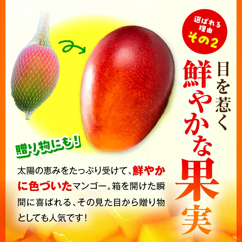 【先行予約】＜数量限定＞宮崎完熟マンゴー 2L×2玉（350g～449g以上×2玉）_K001-016