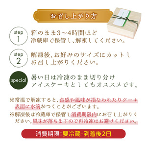 花茶人　京オペラ抹茶九重ケーキ オペラケーキ ケーキ 抹茶スイーツ スイーツ 抹茶 濃厚 抹茶 化粧箱　066-07