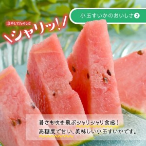 SC0686　酒田の果物専門店厳選　庄内産 小玉すいか　約8kg(4～5玉入)