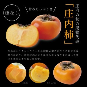 SB0903　酒田の果物専門店厳選　庄内柿(種なし柿)　約5kg(26玉入) 【贈答用仕様】