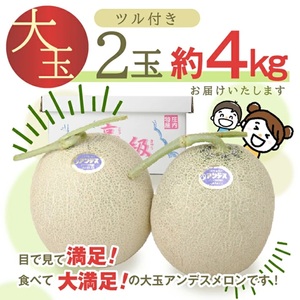 SA2892　特選 庄内産 アンデスメロン　4kg以上(青肉 大玉/2玉入つる付)