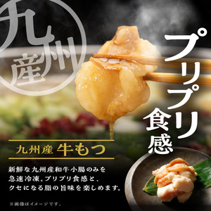 大昌園「特選もつ鍋セット・トリプルだし醤油2～3人前/特製辛味調味料付き」 〔Cn108〕