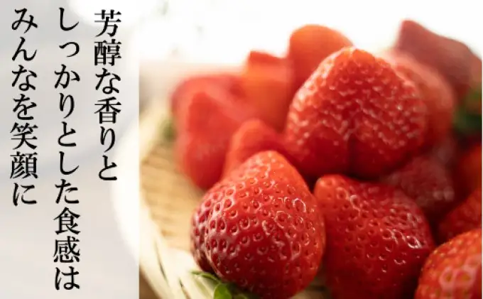 恋みのり 1kg  先行予約 約250g×4P  錦町産 いちご 恋みのり 苺 イチゴ  デザート フルーツ 2027年1月以降より順次発送 配送不可:離島