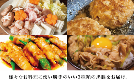 【鹿児島県産】厳選黒豚 便利な3種1.5kg（ロース、モモ、ミンチ） 国産 豚肉 お肉 ハンバーグ カレー しゃぶしゃぶ 小分けパック 詰め合わせ セット 冷凍 コワダヤ