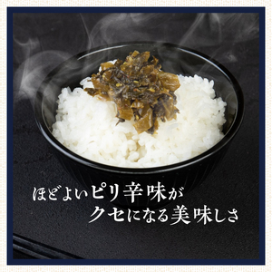 国産辛子高菜メガセット_国産 辛子高菜 1kg × 10袋 小分け 便利 おすそわけ 程よい ピリ辛 高菜 油炒め ごま 漬物 栄養豊富 健康維持 ご飯 おにぎり チャーハン パスタ ラーメン 牛丼 和え物 炒め物 宅飲み メガ セット お取り寄せ お取り寄せグルメ 福岡県 久留米市 送料無料 〔Ca211〕