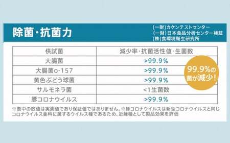 レキオパワー【沖縄県産】除菌スプレー（480ml×2本）