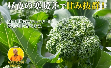 北海道 洞爺湖町産 ブロッコリー 60g×7袋 野菜 冷凍野菜 小分け 時短 簡単 調理 阿部自然農園 冷凍 北海道産 カット済み 一人暮らし 送料無料 洞爺湖町