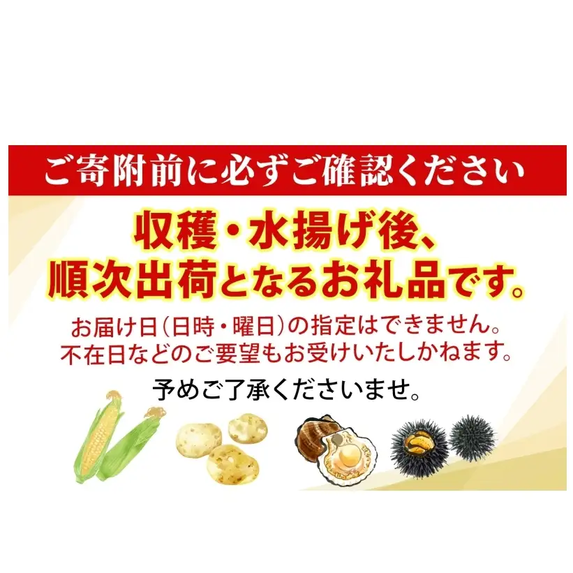 ミョウバン不使用 塩水 ウニ100g 1パック 7月下旬頃までお届け [水揚げ後 順次出荷] キタムラサキウニ うに ウニ 雲丹 ムラサキウニ 北海道産 魚貝 魚介 海鮮 海産 小川商店 送料無料 北海道 洞爺湖