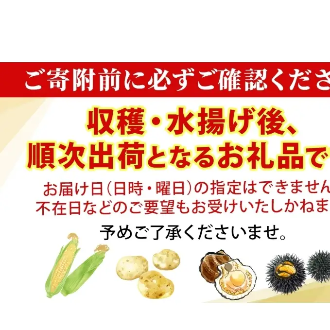 ミョウバン不使用 塩水 ウニ100g 2パック 7月下旬頃までお届け  [水揚げ後 順次出荷]  キタムラサキウニ うに ウニ 雲丹 ムラサキウニ 北海道産 魚貝 魚介 海鮮 海産 小川商店 送料無料 北海道 洞爺湖