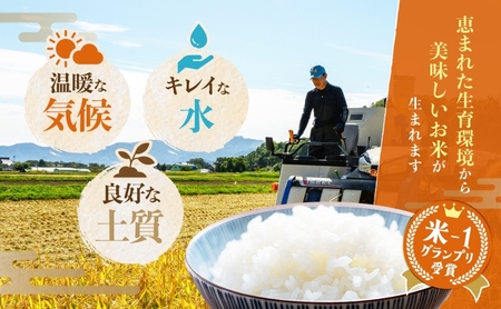 北海道産 ゆめぴりか 5kg  2袋 計10kg 令和 7年産 財田米 米 お米 精米 北海道米 ご飯 ごはん ライス ブランド米 国産米 白米 ギフト お取り寄せ 産地直送 宮内農園 送料無料 北海道 洞爺湖町