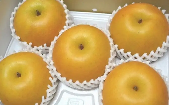 梨 フルーツの里の直売所より あきづき梨 2.5kg ナシ 果物 先行予約 子供 おやつ くだもの 