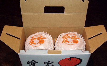 梨 愛宕 2玉×1 筑前あさくら農協 配送不可 離島 ナシ 果物 フルーツ 先行予約 