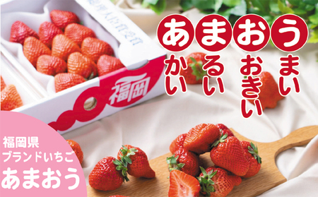 いちご あまおう 福岡県産 約1kg 250g×4パック 筑前あさくら農協 配送不可 離島 果物類 苺 イチゴ 配送期間：2027年1月下旬～3月上旬
