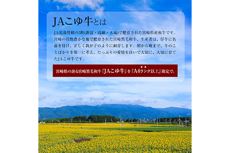 ＜JAこゆ牛A4ランク以上切落し 700g＞翌月末迄に順次出荷【c139_ja_x2】