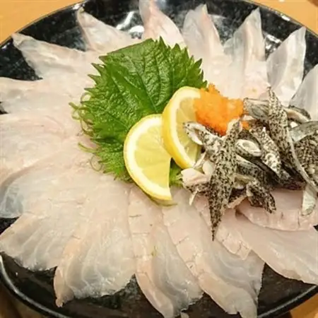 日出産とらふぐ刺身とくえ刺身の味くらべ(2人前)_魚介・海産物 クエ 鮮魚   魚介・海産物 ふぐ 鮮魚 フグ 河豚_【配送不可地域：離島】【1133892】