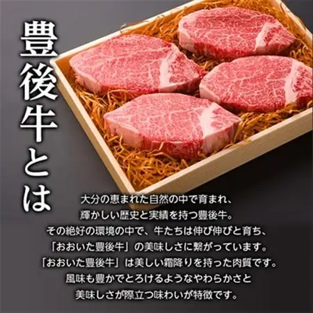 肉質4等級以上のお肉 豊後牛ヒレステーキ(130g×4枚)_牛肉  肉  ヒレ  和牛  おおいた和牛  国産牛  お肉_【配送不可地域：離島】【1091151】
