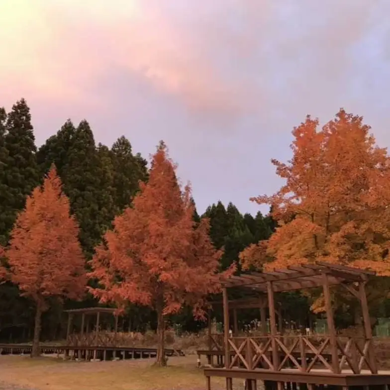キャンプ 旅行 チケット 奈良県のキャンプ場 TAWAキャンプ場 デッキサイト施設利用券 / 旅行チケット キャンプ ウッドデッキ