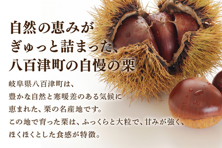 栗ぃむ大福 6個入り