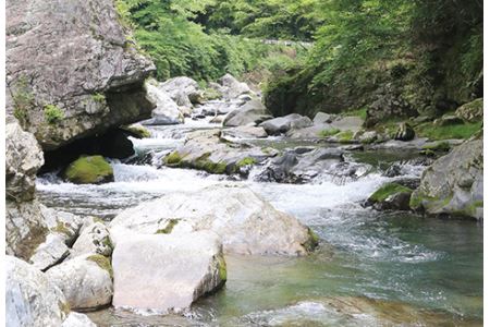 【先行受付：令和8年版】【椎葉での渓流釣りを楽しむ】遊漁許可証(年券) 耳川水系【釣り好き必見】宮崎県 椎葉村 遊漁券 遊漁許可証 釣り 川 年券 耳川水系 川魚 ヤマメ ヤマメ釣り 体験 GK-1