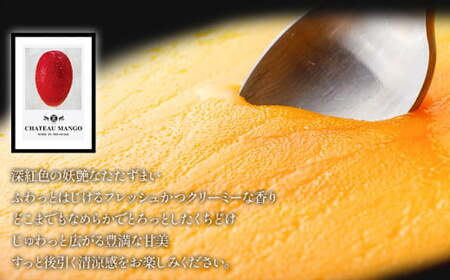 《2026年発送先行予約》【数量・期間限定】シャトーマンゴー(大) AAA 2玉 宮崎マンゴー シャトーマンゴー フルーツ 果物 果実 スイーツ 完熟 まんごー くだもの ギフト 人気 おすすめ 特産品 お土産 土産 手土産