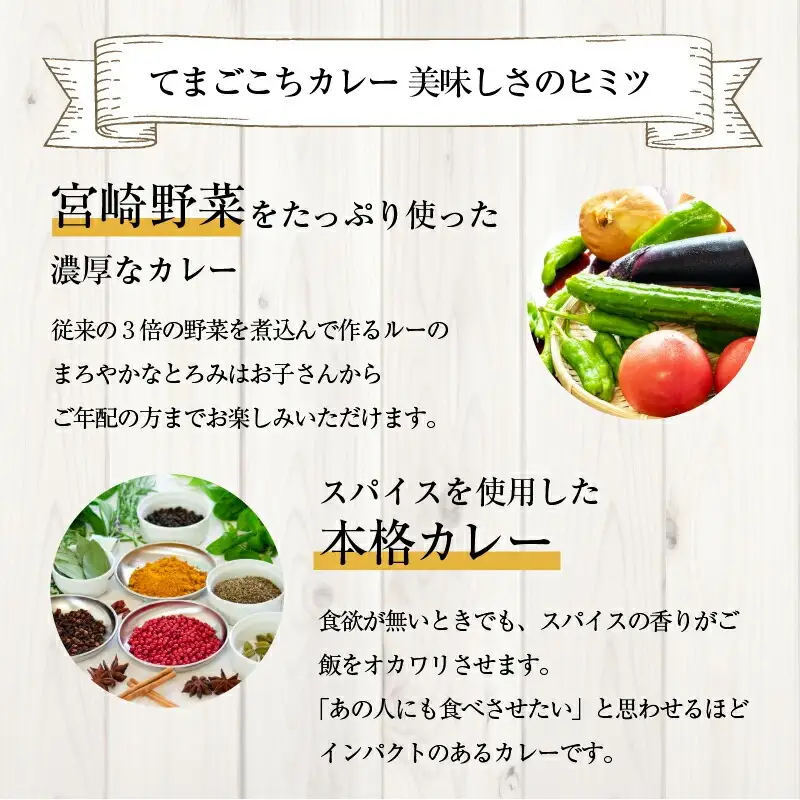 てまごこちカレー(180g×5袋)セット ご当地カレー カレー セット レトルトカレー レトルト パック 180g 5袋 独自レシピ スパイス 鶏もも肉 鶏肉 もも 常温