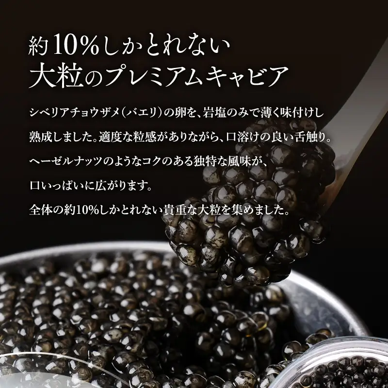 宮崎キャビア1983 バエリプレミアム (60g) 国産 宮崎県産 キャビア 60g チョウザメ 長期熟成 珍味 ギフト 化粧箱入り