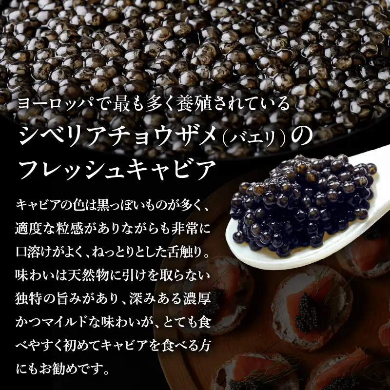 宮崎キャビア1983 バエリ (20g) 国産 宮崎県産 キャビア 20g チョウザメ 長期熟成 珍味 ギフト 化粧箱入り