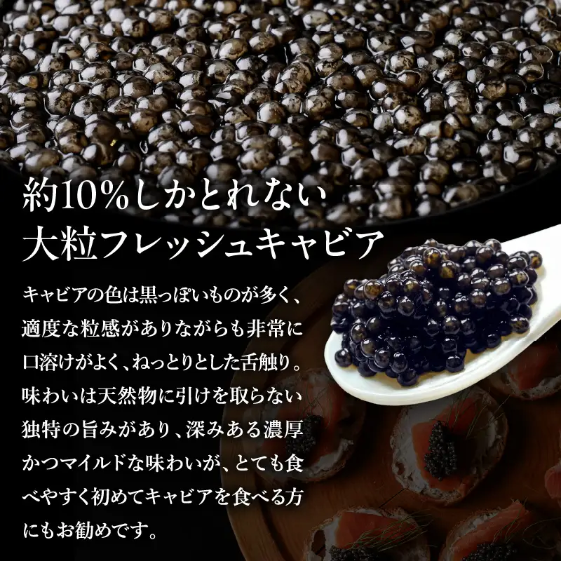 宮崎キャビア1983 バエリプレミアム (30g) 国産 宮崎県産 キャビア 30g チョウザメ 長期熟成 珍味 ギフト 化粧箱入り