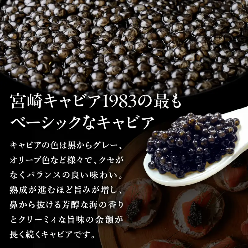 宮崎キャビア1983 (20g) 国産 宮崎県産 キャビア 20g チョウザメ 長期熟成 珍味 ギフト 化粧箱入り