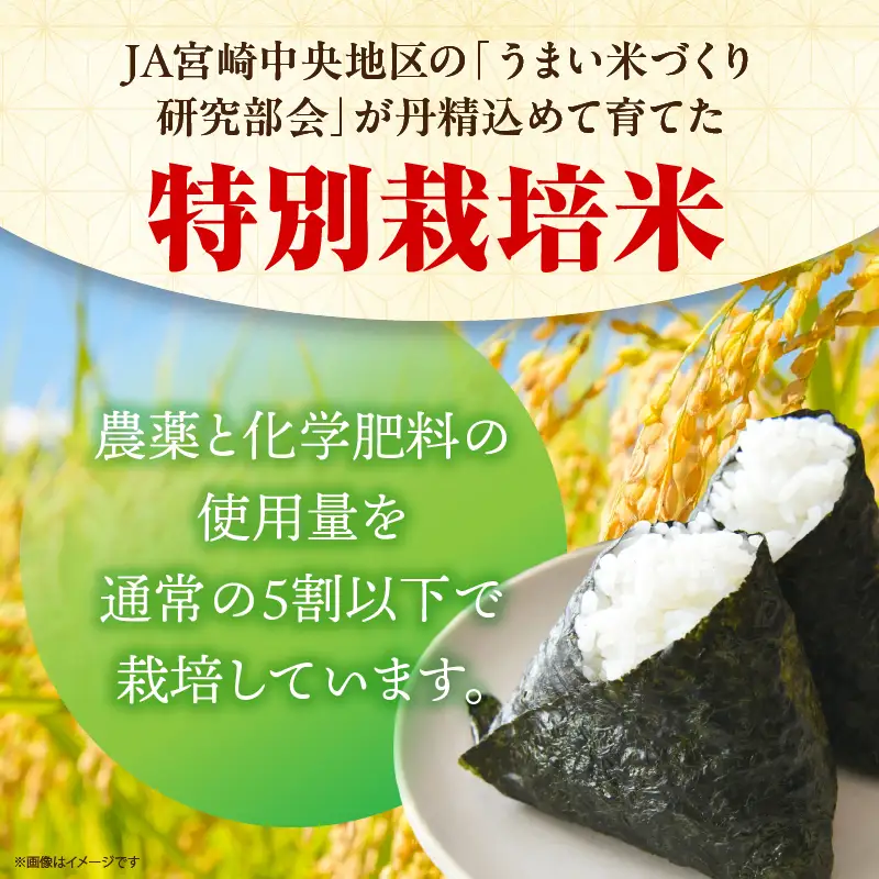 特別栽培米 宮崎県産コシヒカリ 5kg×1袋 米 お米 コシヒカリ 宮崎県産 5kg