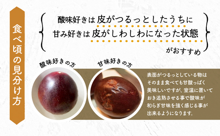 《2026年発送先行予約》【数量・期間限定】8年かけて誕生した宮崎県産極上パッションフルーツＭ 2kg 国産 宮崎県産 パッションフルーツ 旬の果物 季節の果物 果物 フルーツ 完熟 贈答 贈り物 ギフト グルメ お取り寄せ