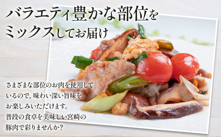 豚肉 切り落とし 3kg 宮崎県産 小分け 冷凍 豚肉