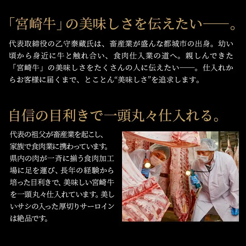 牛肉 ステーキ 牛肉[宮崎牛 サーロイン 600g]