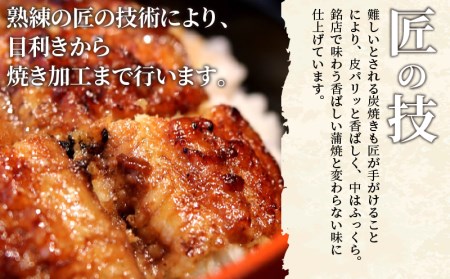 備長炭手焼き 宮崎市佐土原産 和匠うなぎの蒲焼カット10パックセット(計1kg) 山椒付き 国産 うなぎ 鰻 ウナギ うなぎ蒲焼き 鰻蒲焼 鰻の蒲焼 うなぎの蒲焼 蒲焼 カット カット済 10パック 1kg 丑の日 湯煎 ボイル 冷凍 小分け パック 真空パック うな重 うな丼 ひつまぶし グルメ ギフト