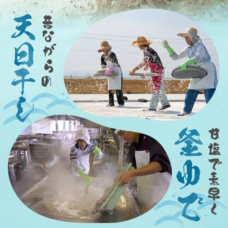 浜ちり(天日干しちりめん)125g×3(計375g) ちりめん 125g 3袋 ちりめんじゃこ 天日干し しらす干し 大根おろし かき揚げ 卵とじ 酢の物 焼きめし サラダ ご飯 ご飯のお供 ごはんのおとも