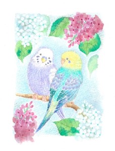 フレーム入り版画「インコとお花」　絵本作家おまたたかこジークレー版画
