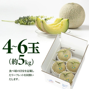 SB0907　庄内砂丘特産 「秀品 真夏のキスロマン」　約5kg(青肉4～6玉入)