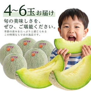 SA2947　庄内砂丘の旬夏　「秀品 アンデスメロン」　約5kg(青肉/4～6玉入)
