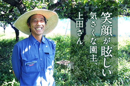 『上田農園』のにんにく約1kg 熊本県玉名郡玉東町『上田農園』にんにく《7月上旬-9月中旬頃出荷》