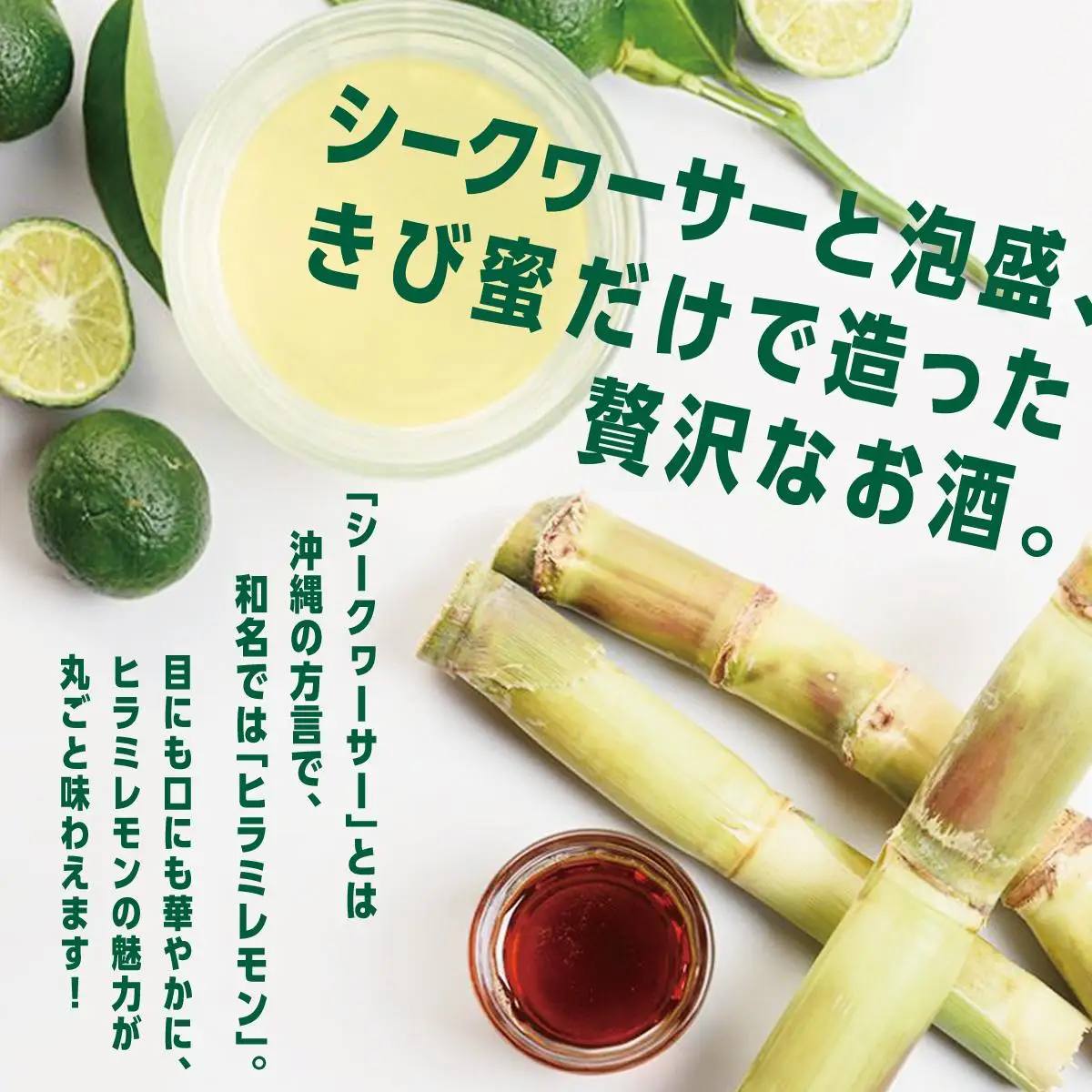 【2ヶ月定期便】琉球レモンサワー350ml×24缶   