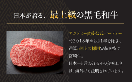 ＜宮崎牛＞こま肉200g×5袋(計1kg)_K049-005
