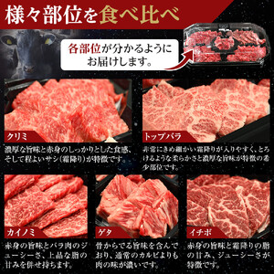 ＜期間限定・ソーセージ1袋付（お試し品）＞北海道産星空の黒牛 厳選5種BBQセット1kg　|  BBQ